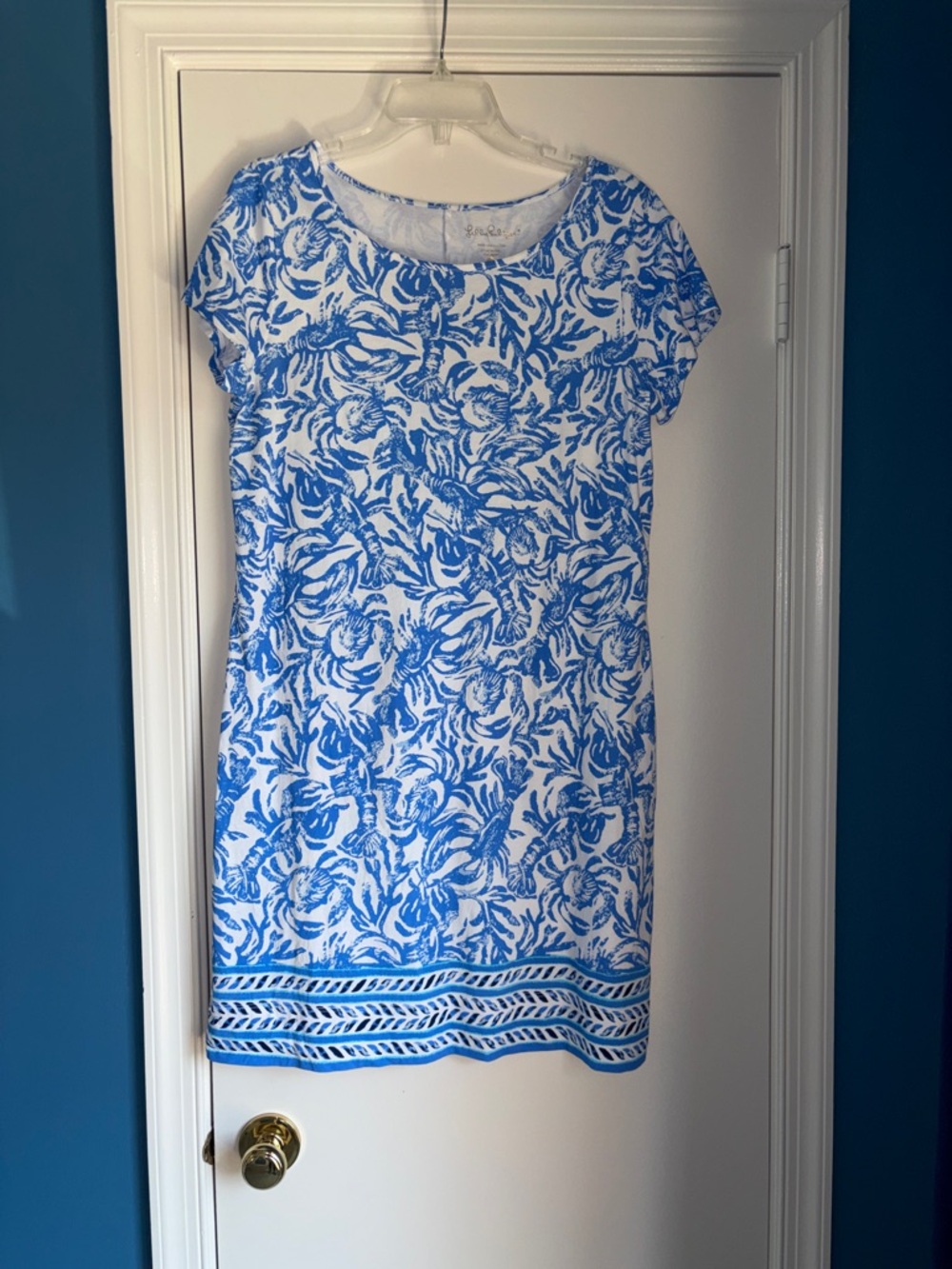 Lilly Pulitzer Blue & White Print Dress